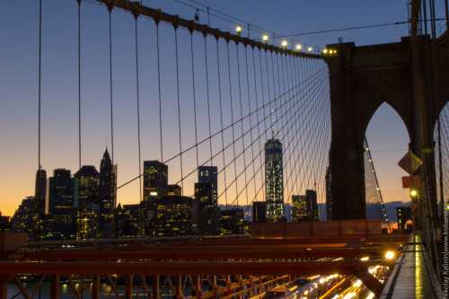 рассказ о собаке вест рассказ о собаке вест