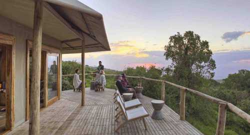 удивительный мир животных в 35 постерах для раскрашивания