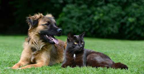 ученые возмущены отношением молодых отцов к своим обязанностям