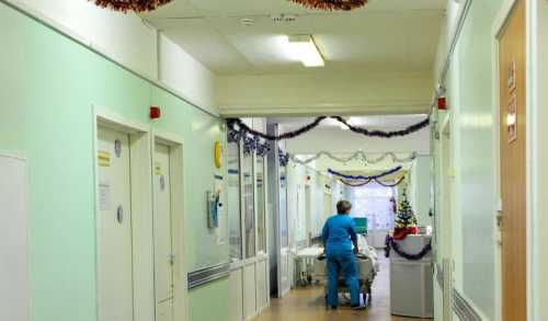 сумма впечатляет: стало известно, сколько пугачева и галкин платят за обучение детей сумма впечатляет: стало известно, сколько пугачева и галкин платят за обучение детей