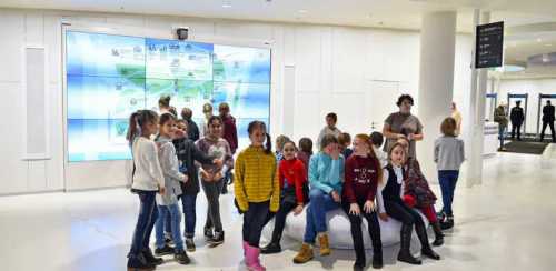 как празднуют день рождения в америке