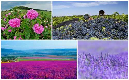 как заработать на своем сайте как заработать на своем сайте