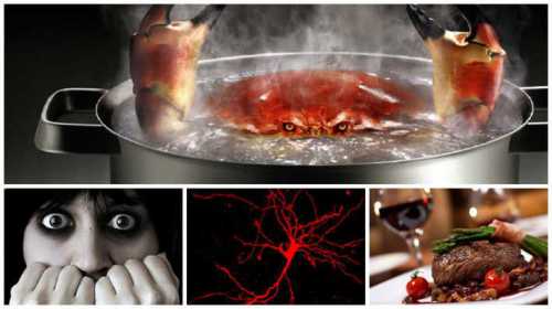 никогда не бойтесь задавать вопросов никогда не бойтесь задавать вопросов