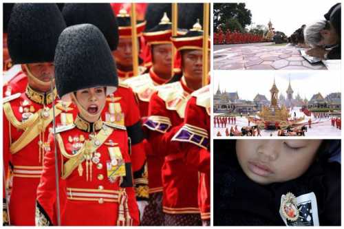 как мы проходили кастинг в ситком леся+рома