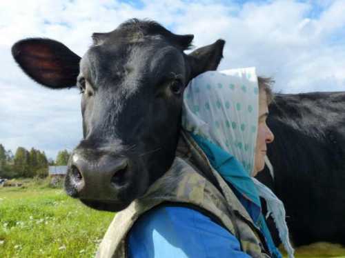 временная регистрация для иностранных граждан по месту жительства и пребывания в 2019 году временная регистрация для иностранных граждан по месту жительства и пребывания в 2019 году