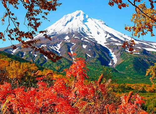 волшебный пендель или что еще вам нужно для старта