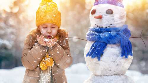 как выбрать встраиваемый холодильник