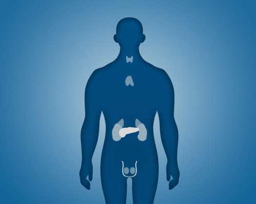 печени и поджелудочной железе полезны эти 7 продуктов печени и поджелудочной железе полезны эти 7 продуктов