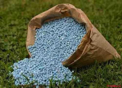 как ухаживать за кожей зимой