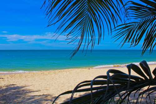 отдых с детьми самостоятельногород базель, швейцария – достопримечательности и маршрут