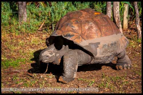 дивеево: достопримечательности и святыни