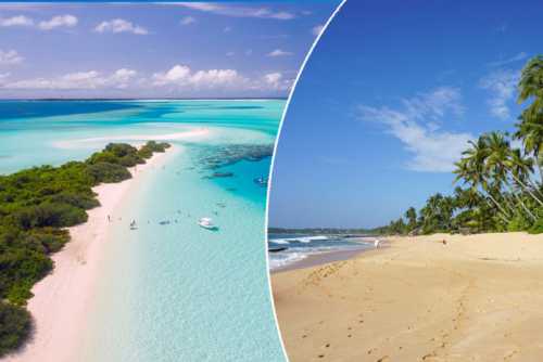 отдам в хорошие руки: инструкция по использованию