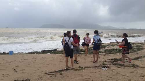 окситоцин для усиления схваток и после родов: доза, технология применения окситоцин для усиления схваток и после родов: доза, технология применения