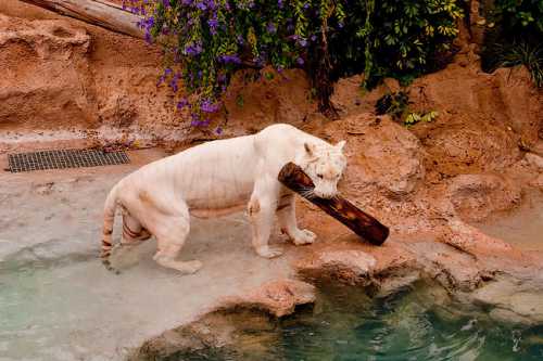 испания коста испания коста