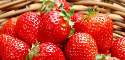 спелые бананы или недозрелые