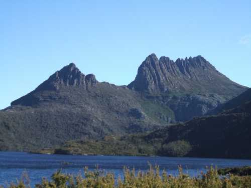 колонизация австралии европейцами