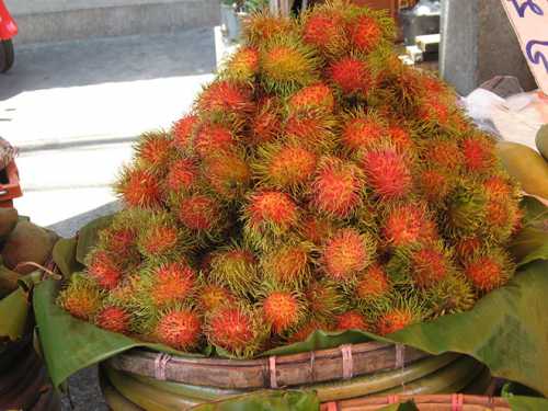 виза в таиланд для украинцев в 2019 году: нужна ли она, стоимость оформления виза в таиланд для украинцев в 2019 году: нужна ли она, стоимость оформления