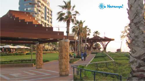 гусиные лапки: почему они появляются и как с ними бороться гусиные лапки: почему они появляются и как с ними бороться