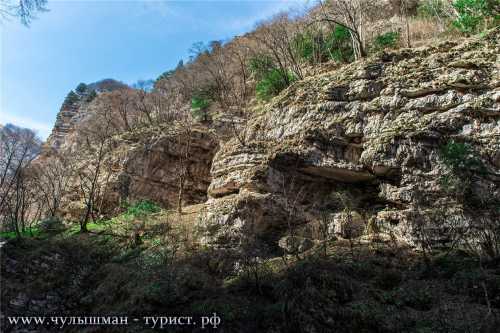 дебаты &171;бренд дебаты &171;бренд