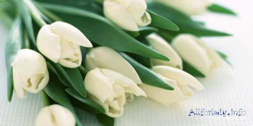 влюбилась в коллегу по работе что делать чтобы не подставить себя влюбилась в коллегу по работе что делать чтобы не подставить себя